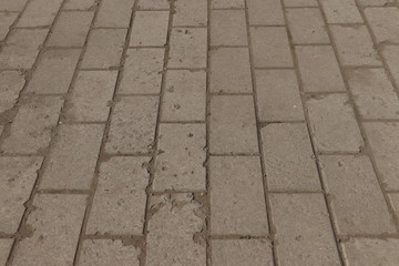 Paving slab. Paving