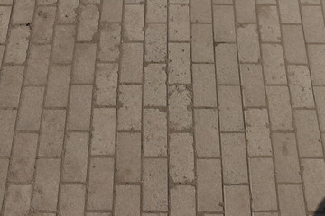 Paving slab. Paving