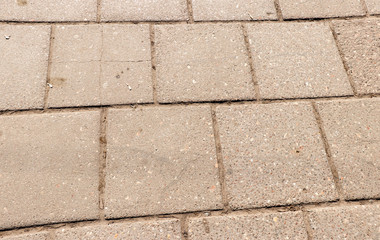 Paving slab. Paving
