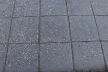 Paving slab. Paving