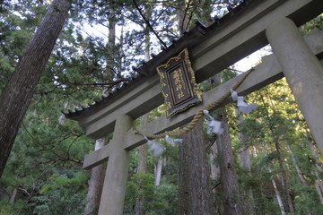 熊野那智大社 飛瀧神社の鳥居