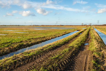 Polder landscape with a country road between two ditches