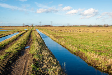 Fototapeta na wymiar Polder landscape with a country road between two ditches