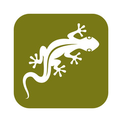 Sign lizard. Isolated symbol gecko on white background. Icon flat design. Vector illustration