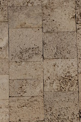 Texture of facade tiles
