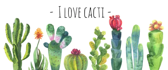 Foto op Canvas Cacti watercolor collection set. Cacti isolated on white. Cacti banner for scrapbooking etc. Florishing cactus, blue cacti, cactus flower. © 1purple