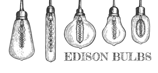 Collection of various shaped hanging edison bulbs - obrazy, fototapety, plakaty