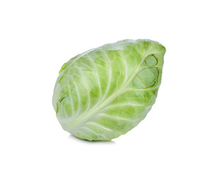 cabbage on white background