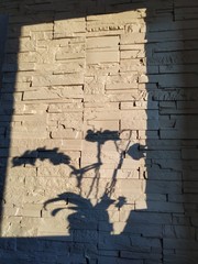 Mur et ombre