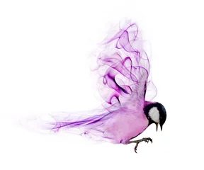 Deurstickers flying abstract lilac bird from smoke on white © Alexander Potapov