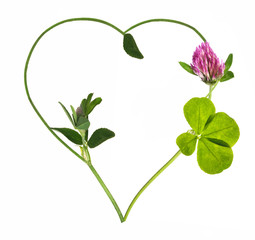 heart shape symbol from clover flower