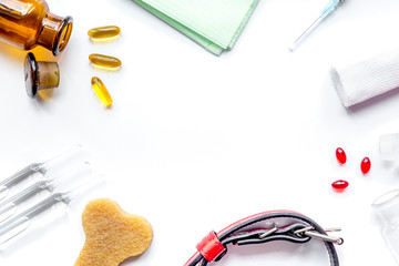 concept pets care treatment on white background top view