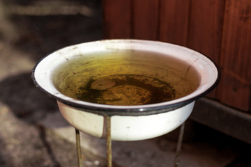 Dog bowl with dirty water