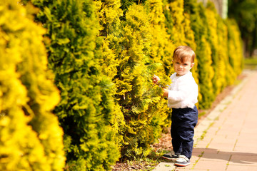 Portrait of beautiful smiling cute baby boy in park