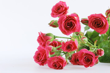 red wedding roses bouquet on white background