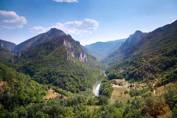 Mountain landscape. Canyon of the river Tara in Montenegro. Beautiful nature on a sunny summer day