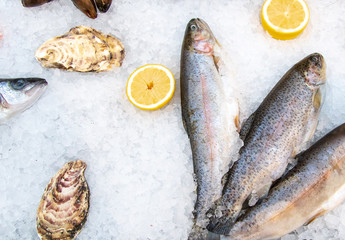 Fish with lemon in the ice on the counter