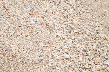 Beach sand with tiny sea shells.