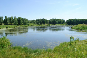 Fototapeta na wymiar old pond, lake