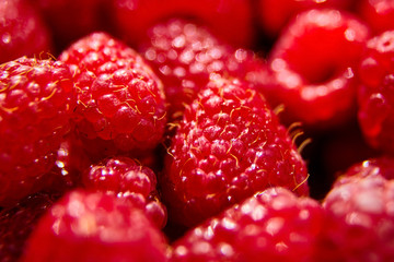 red raspberry background, juicy berries, raw food, closeup, selective focus