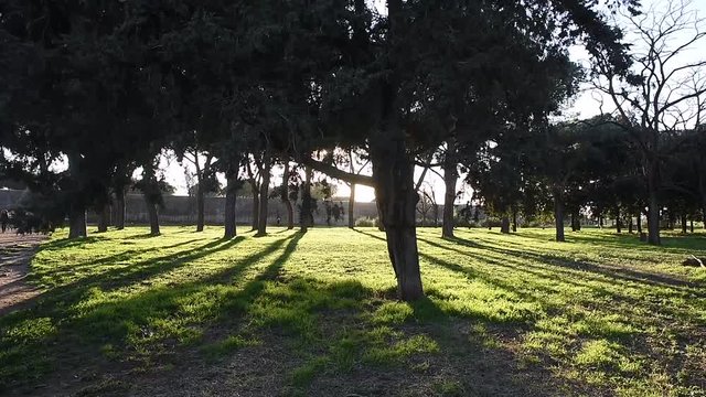 Parco Sole Ombra