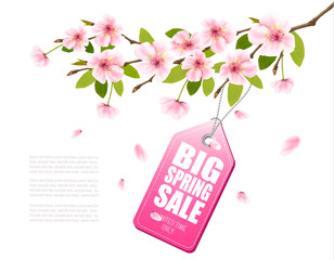 Spring sale background with a pink blooming sakura and discount tag. Vector