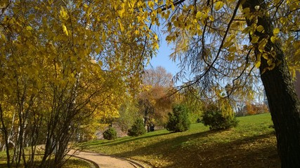 Naklejka premium Historical park in Moscow Russia