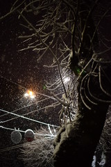 electric wires in night snowfall