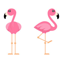 cartoon cute flamingo girl set from the front vector