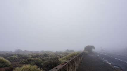 fog in the mountains