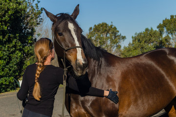 Horse Woman Exercise Outdoor  Sand Equestrian Arena Closeup Affection.