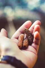 hand holding ice cone in hands