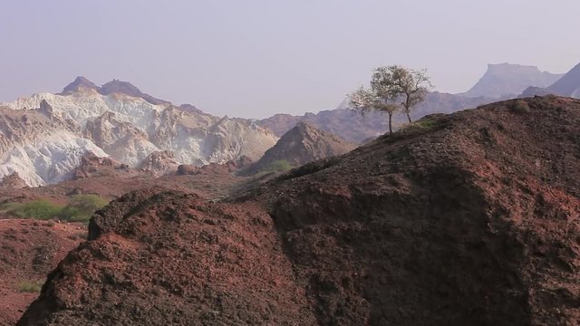 Amazing landscape of colored desert mountains of Hormuz island with one tree on the hill. Iran