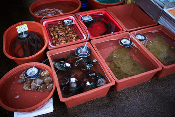 Fishes at market 