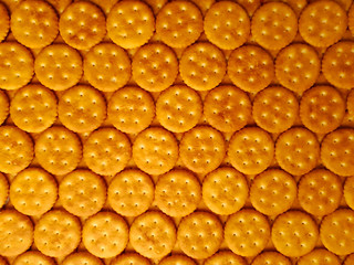 Cracker, biscuit, eat