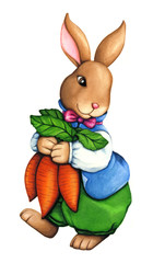Watercolor cute Easter bunny boy holding carrots dressed up in beautiful clothes. Hand drawn illustration isolated on white background in vintage style. Easter holidays rabbit animal.