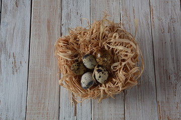 Quail eggs on white background , healthy and diet food, protein concept. Quail eggs isolated. Small colorful quail eggs. Eco products.
