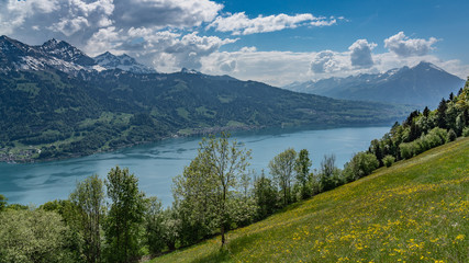 Switzerland, panoramic view on lake Thunersee and Alps from Beatenberg