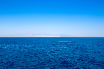  blue sky over calm sea with sunlight reflection