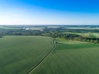 green field and blue sky