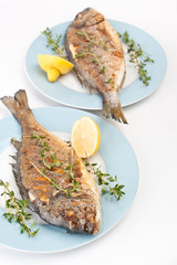 Grilled dorade fish with vegetables, herbs and lemon