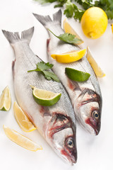 raw seabass fish with hebs, limes and lemons