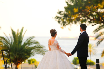 Beautiful wedding couple posing on streets near palm trees