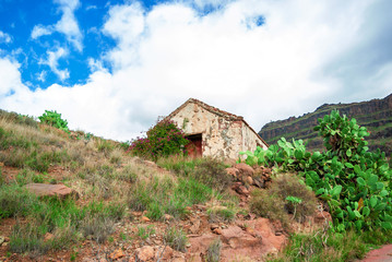 Fototapeta na wymiar Abandoned small house overgrown with cacti on mountain