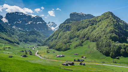 Fototapeta na wymiar Switzerland, Green fields of Appenzell valley