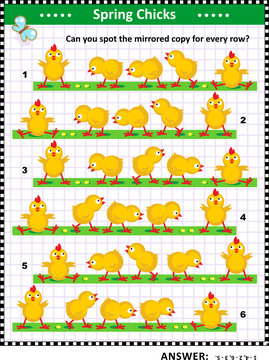 Visual puzzle with chicks: Can you spot the mirrored copy for every row? Answer included.