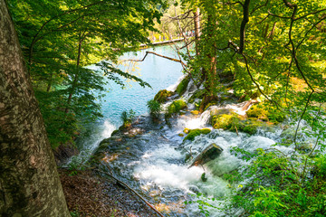 beautiful waterfall and rapids in the forest, plitvice lakes national park, croatia