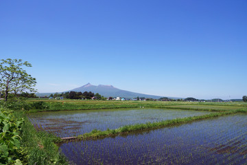 田園と駒ケ岳