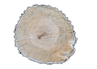 Tree cut with black dots on a white background