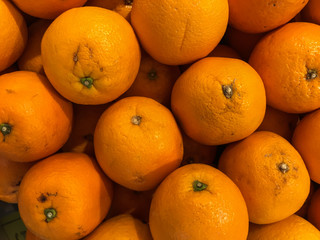 Fresh sweet orange